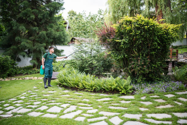 Best Ant Control Services  in Long Beach, IN