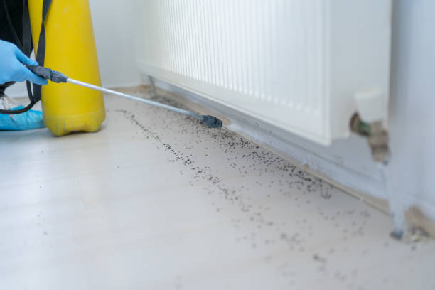 Best Pest Removal Services  in Long Beach, IN